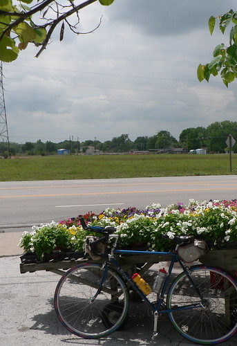 Eisler Brother Store