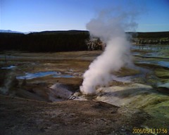 Norris Geysers