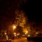 Autumn night