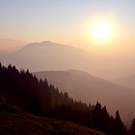 A Misty Good Morning!