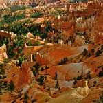 Evening Light on Bryce