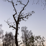 Reach for the Sky - the Sky's the Limit - Dordrecht 2015