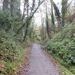 Tracing the MSWJR Line