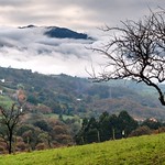 &Aacute;rbol y nubes
