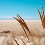 Playa de la F&aacute;brica - Tavira