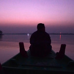 A journey in the tranquility : Sundarbans, a nature's paradise.