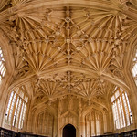 UK - Oxford - Bodleian Library - Divinity School fisheye 02_DSC8601