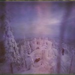 Exploring Frozen Forests