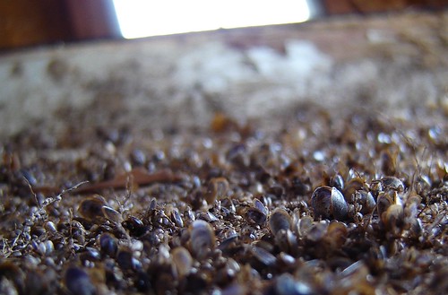 surface of keel