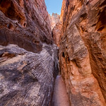 Slot Canyon in Capital Reef National Park