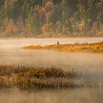 Misty morning on Cerknica intermittent lake