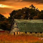 Dodge Center Barn # 46