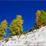 Autumn in the Dolomites at the Passo Fedaia