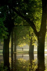 Autumn in the Park I
