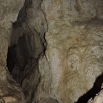 cave in Ruakuri Scenic Reserve