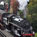 75029 THE GREEN KNIGHT