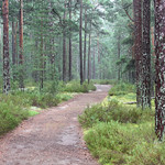 Hamnuddsv&auml;gen, Gotska Sand&ouml;n