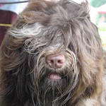 Do you see what i mean ?