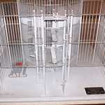 SQUIRREL CAGE JAIL