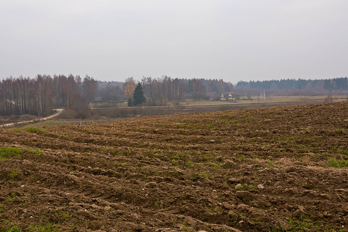 Akuotninkai iš toli