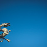 Mazu Goddess of the Empty Sea