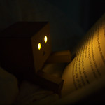 Danbo likes reading in bed