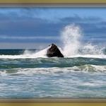 "Water is the driving force of all Nature.' Leonardo da Vinci