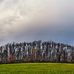 IMG_2718-20Ptzl1scTBbLGE