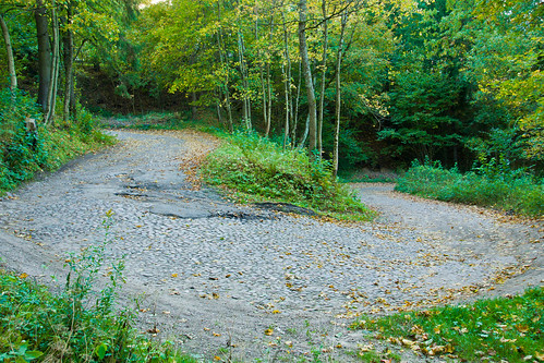 Tuputiškių serpentinas