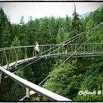 Cliffwalk @ Capilano Suspension Bridge, North Vancouver BC Canada