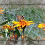 Sweetspot ~&hearts;~