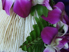 El esplendor de la naturaleza