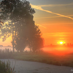 Morning glory (HDR) *Explored #60*