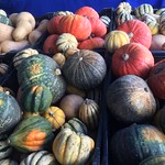 Winter squash at the Hollywood Farmers Market