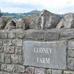Godney