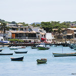 Boats in the harbor