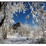 Ein Wintertraum im Th&uuml;ringer Wald - A winter dream in the Thuringian Forest