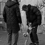 True Love - Vero amore