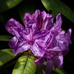 My Love and I long silent stood