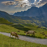 The Grosse Shcheidegg ,Hiking Paradise. Canton of Bern, Switzerland. July 30, 2020.
