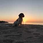 Sunset on the evening walk at beach