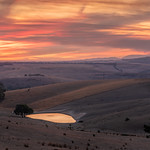 There's gold in them there hills...DSC_5382