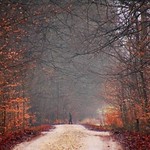 on a cold winter day...