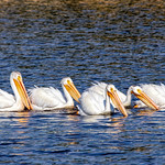 Working for the Weekend