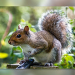 I'm your worst nightmare!