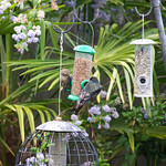 A Table For Two And A Dish To Share Please