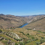 Alto Douro Vinhateiro