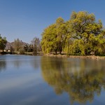 au bord de l '&eacute;tang , at the edge of the pond