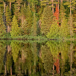 'Simply Irresistible'