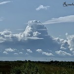 Cumulus congestus